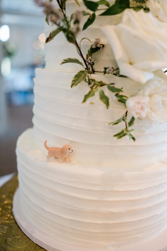TPc Sugarloaf wedding, cake cutting